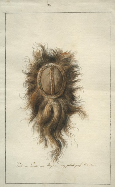 The Headdress of Jacoba van Beieren by Albertus Frese de Jonge